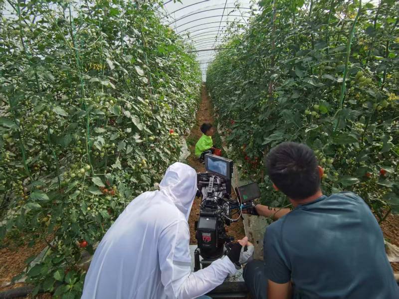 宣城产品宣传视频拍摄公司进阶指南，助力品牌抢占传播高地